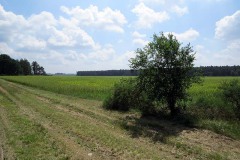 IMG_0029