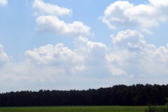 IMG_0034