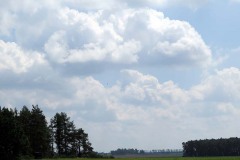 IMG_0035