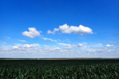 P7040001