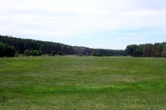 P7040023