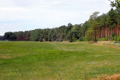 P7040024