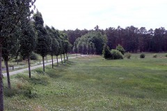P7040025