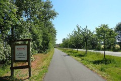 P6030004