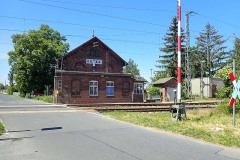 P6030019