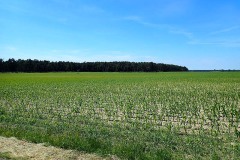P6030024