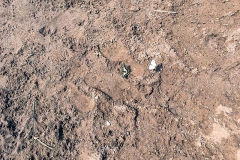 img-20180616-wa0021
