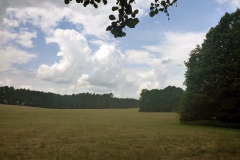 p1030426