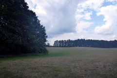 p1030427