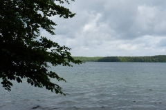 dscn2719