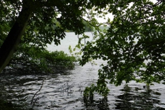 dscn2720