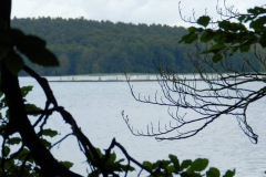 dscn2729