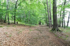 dscn2736