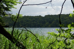 dscn2737