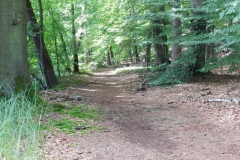 dscn2747
