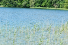 dscn2750
