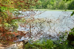 dscn2753