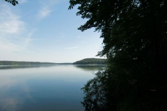 1stechlinsee