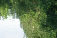 1wasser
