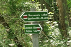 1wegweiser