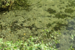 2wasser