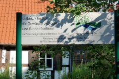 5institut