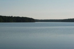 5stechlinsee