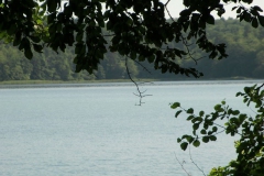6stechlinsee