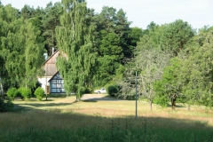 institut