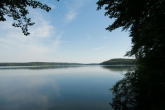 stechlinsee