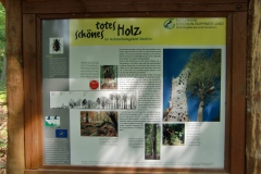 totes_holz