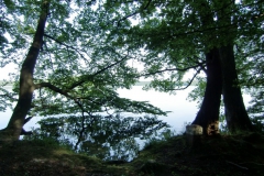 uferweg