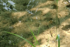 wasser