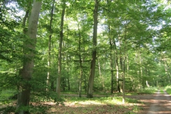 weg_zum_ufer
