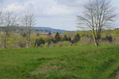 p1000566_copy p1000566_copy