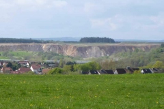 p1000567_copy p1000567_copy