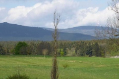 p1000568_copy