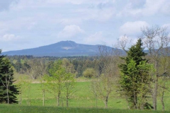 p1000569_copy