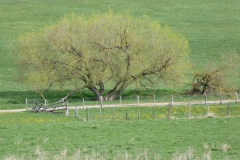 p1000572_copy p1000572_copy