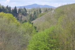 p1000583_copy p1000583_copy