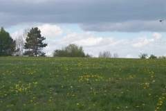 p1000587_copy p1000587_copy