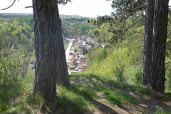 p1000593_copy p1000593_copy