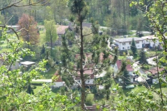 p1000595_copy p1000595_copy