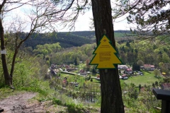 p1000598_copy p1000598_copy