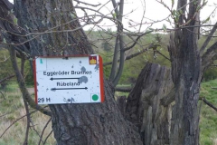 p1000603_copy p1000603_copy