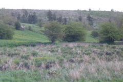 p1000604_copy p1000604_copy