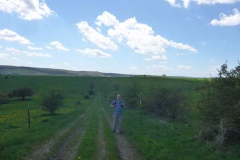 p1000610_copy p1000610_copy