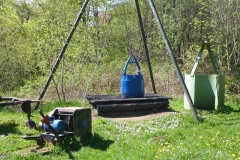 p1000613_copy p1000613_copy