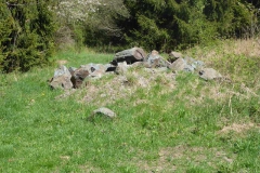 p1000615_copy p1000615_copy