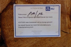 p1000623_copy p1000623_copy